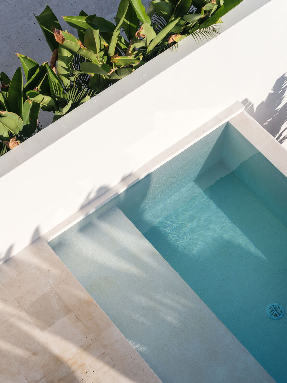 Private pool surrounded by tropical greenery